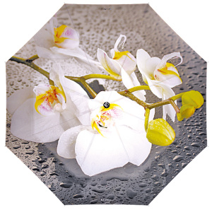 Зонт  Flioraj  серый  полиэстер c10297