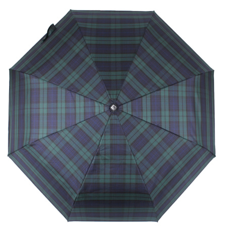 Классический зелёный мужской зонт в синюю клетку фото в интернет-магазине | Omadey.ru