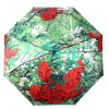 Зонт  Flioraj  зеленый  полиэстер c09474 фото в интернет-магазине | Omadey.ru
