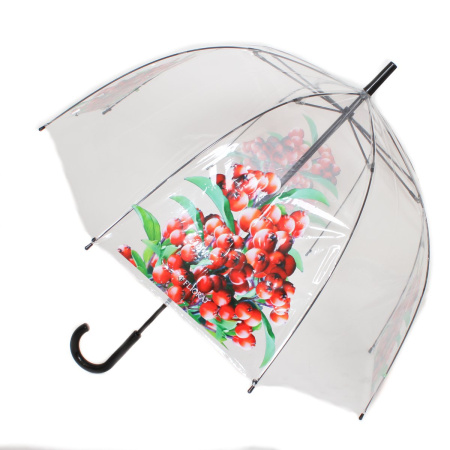 Зонт  Flioraj  прозрачный  полиэстер c09445 фото в интернет-магазине | Omadey.ru