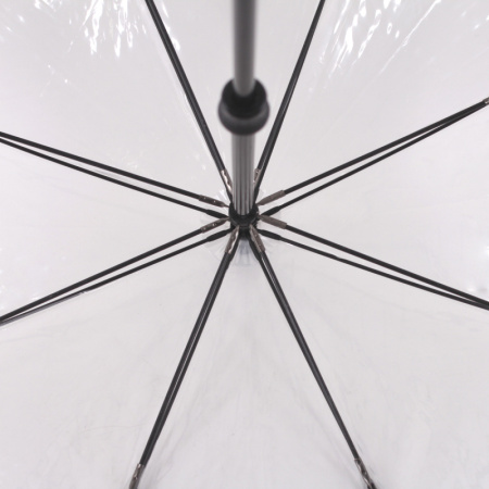 Зонт  Flioraj  прозрачный  полиэстер c09447 фото в интернет-магазине | Omadey.ru