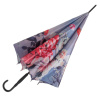 Дизайнерский женский зонт-трость полуавтомат фото в интернет-магазине | Omadey.ru