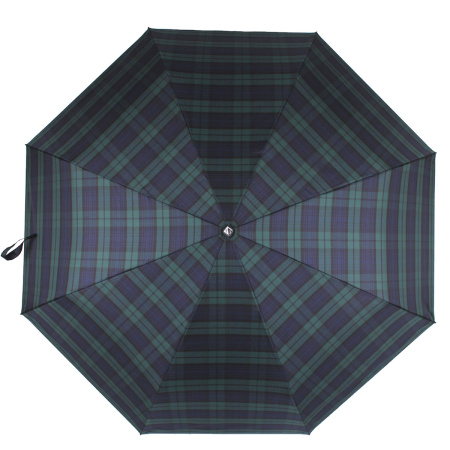 Зонт  Flioraj  зеленый  полиэстер c09878 фото в интернет-магазине | Omadey.ru