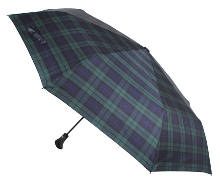 Зонт  Flioraj  зеленый  полиэстер c09878 фото в интернет-магазине | Omadey.ru